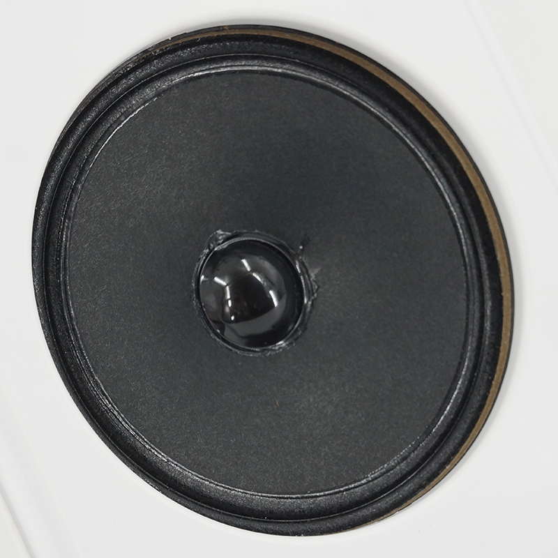 ABG-2061 5.25" 3W/6W Wall Mount Speaker