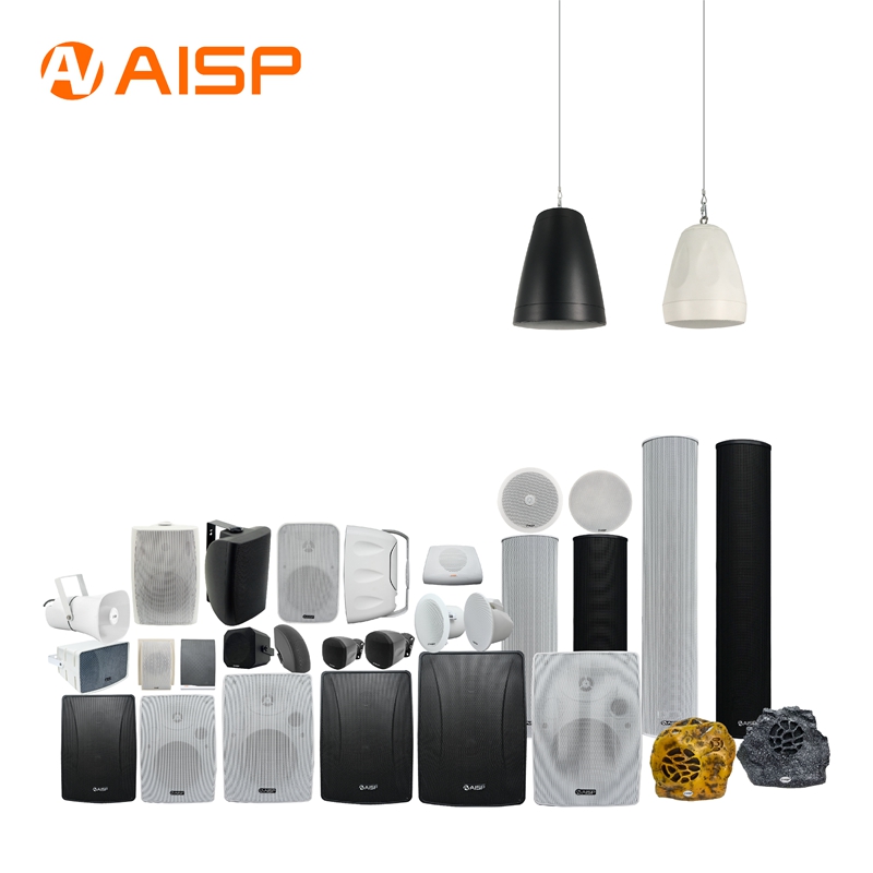 PA Speaker