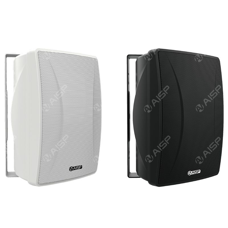 4.5"/5.5"NT-4520/NT-5530 Wall Mounted Speaker with 2.4G Network (2*20W/2*30W )