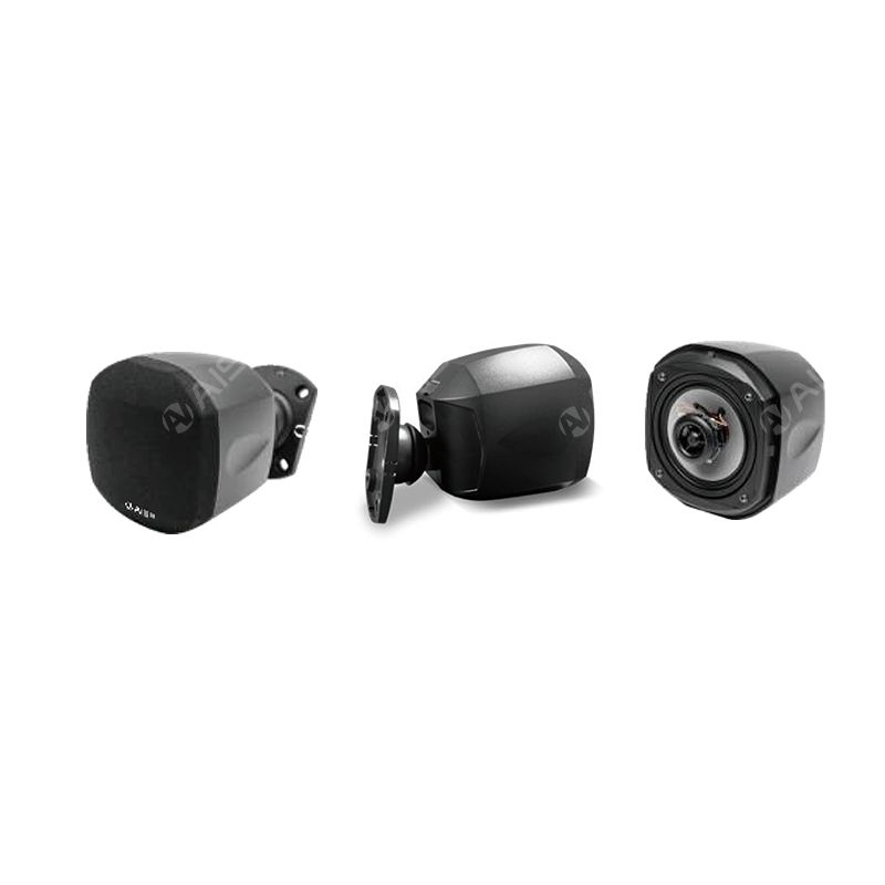 WP-10/WP-10T 10W Mini Wall-Mounted Speaker