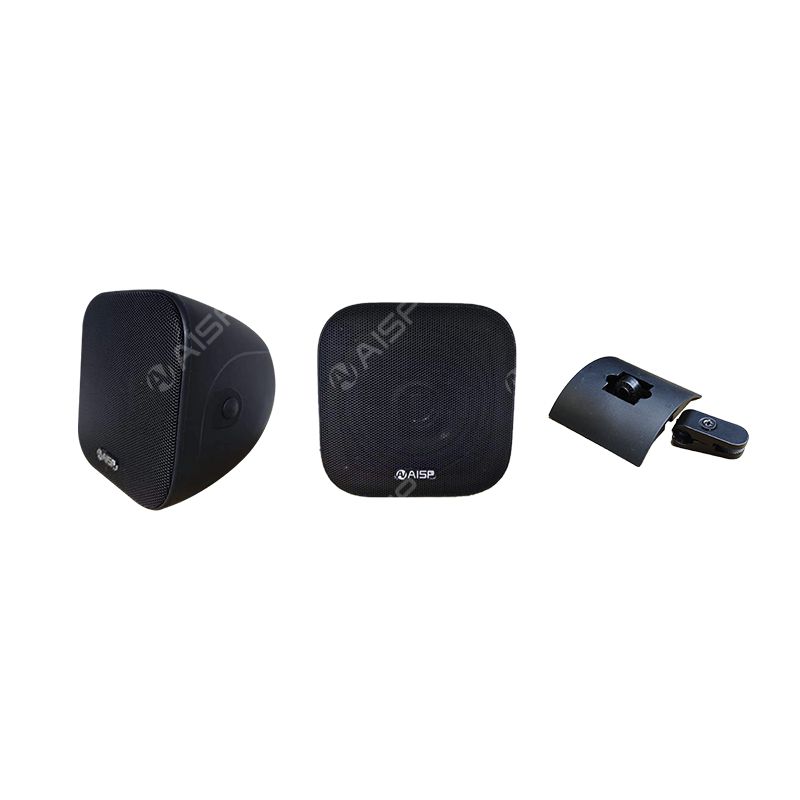WP-22 20W Mini Wall-Mounted Speaker
