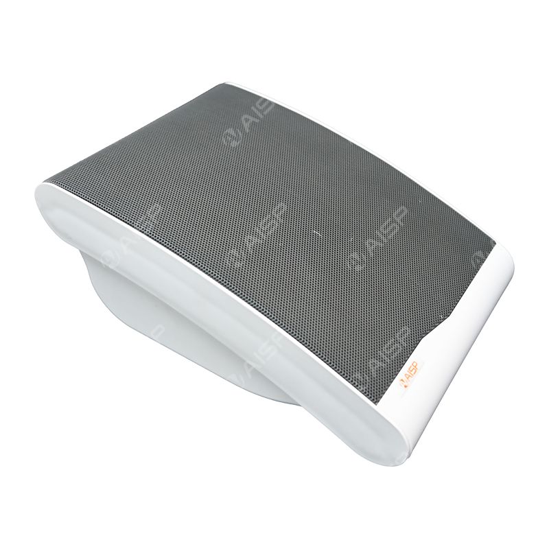 WS-812 1.5W-10W ABS Wall-Mount Speaker