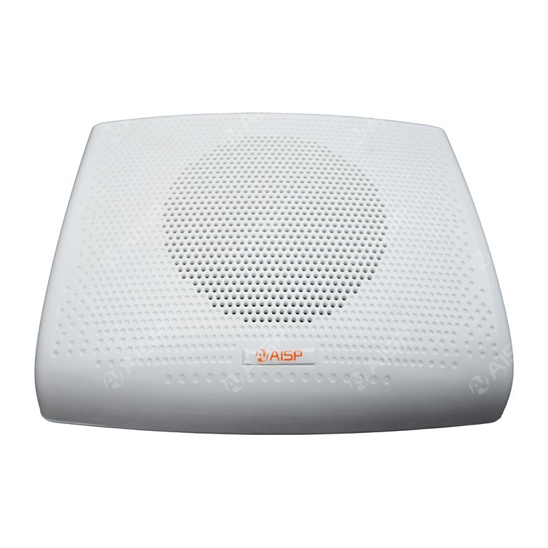 WS-813 6W Wall-Mounted Speaker