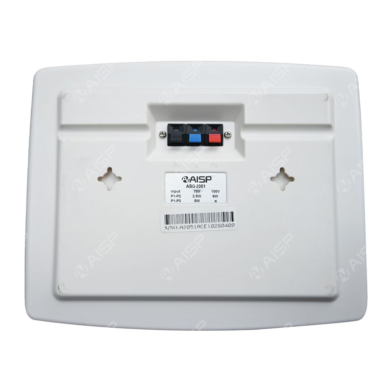 WS-813 6W Wall-Mounted Speaker