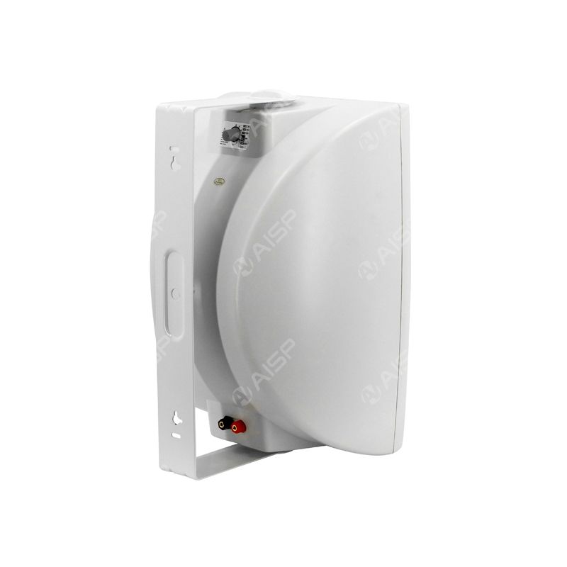 WS8060 8'' 60W Wall-Mounted Speaker