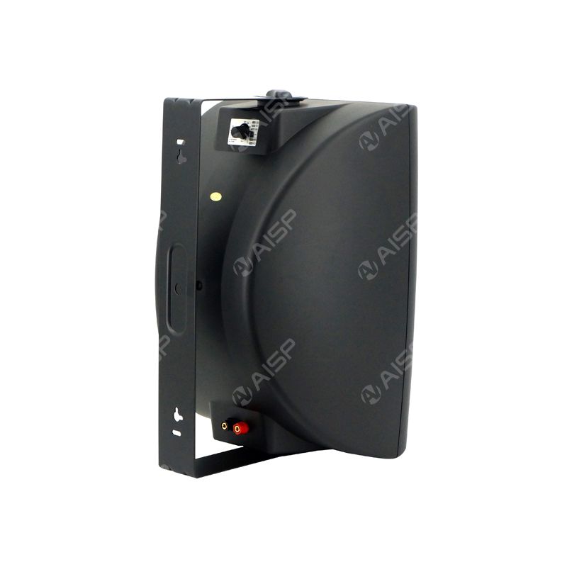 WS8060 8'' 60W Wall-Mounted Speaker