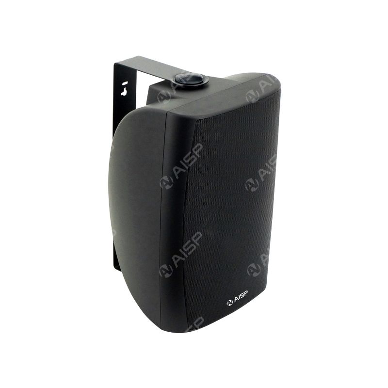 WS8060 8'' 60W Wall-Mounted Speaker