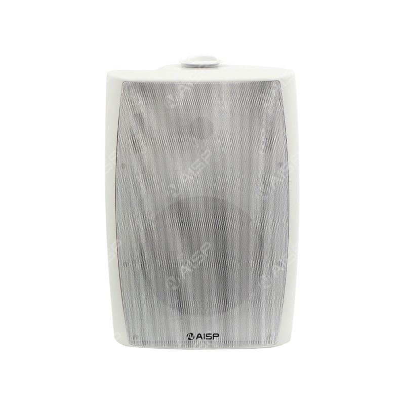 WS8060 8'' 60W Wall-Mounted Speaker