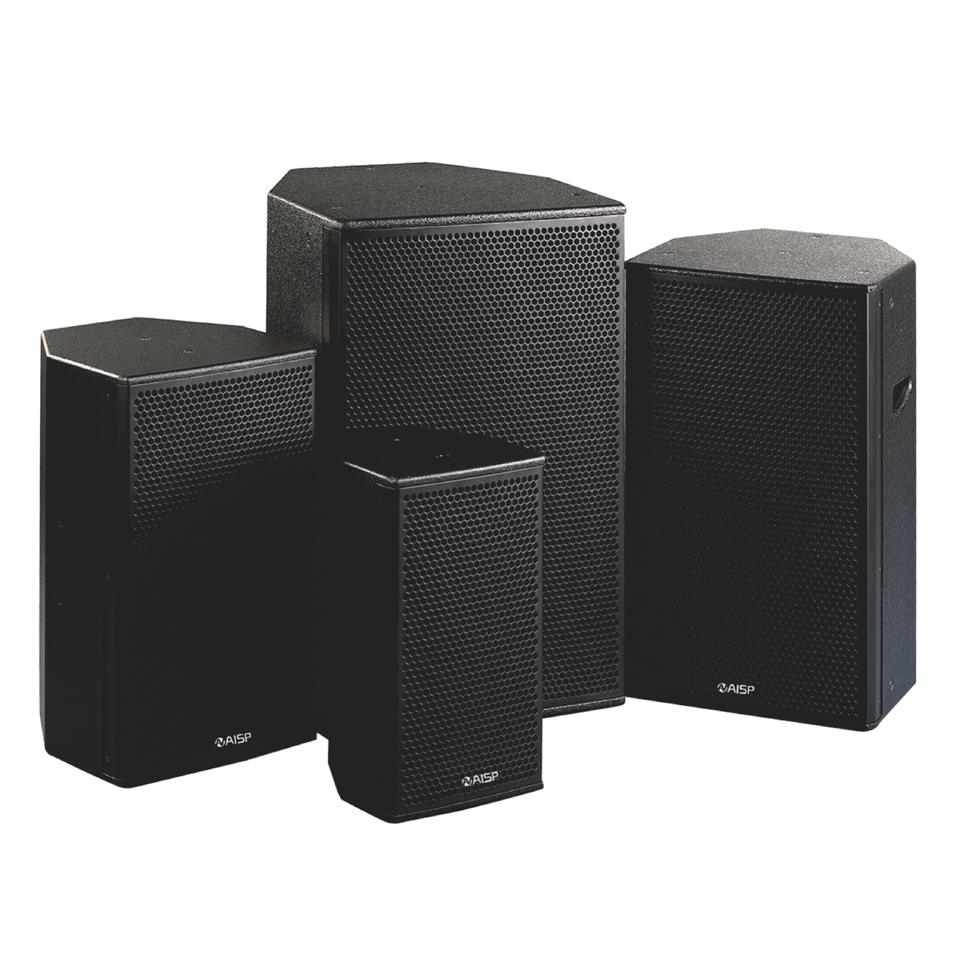 Professional Speaker