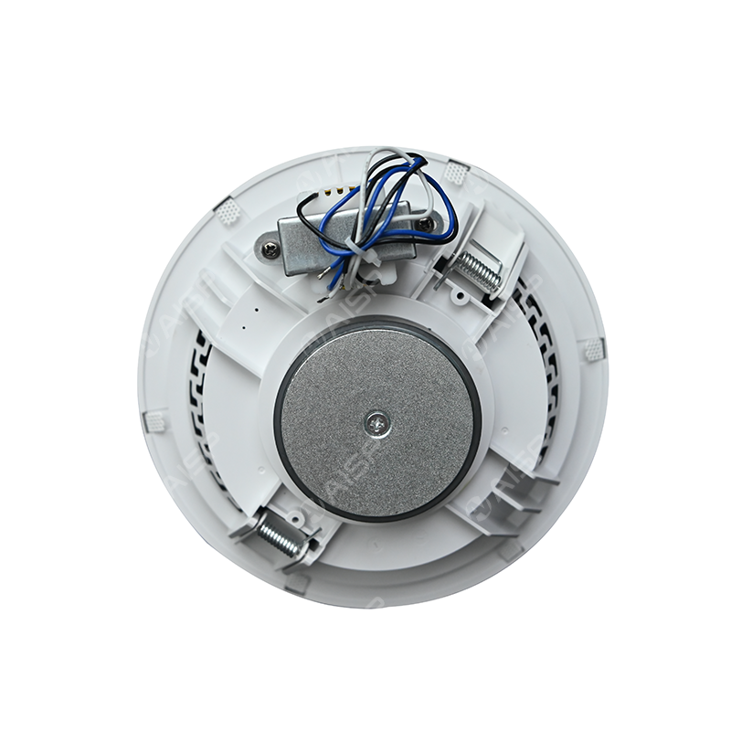 CS-651 6.5'' 10W  ABS Coxial Framless Ceiling Speaker