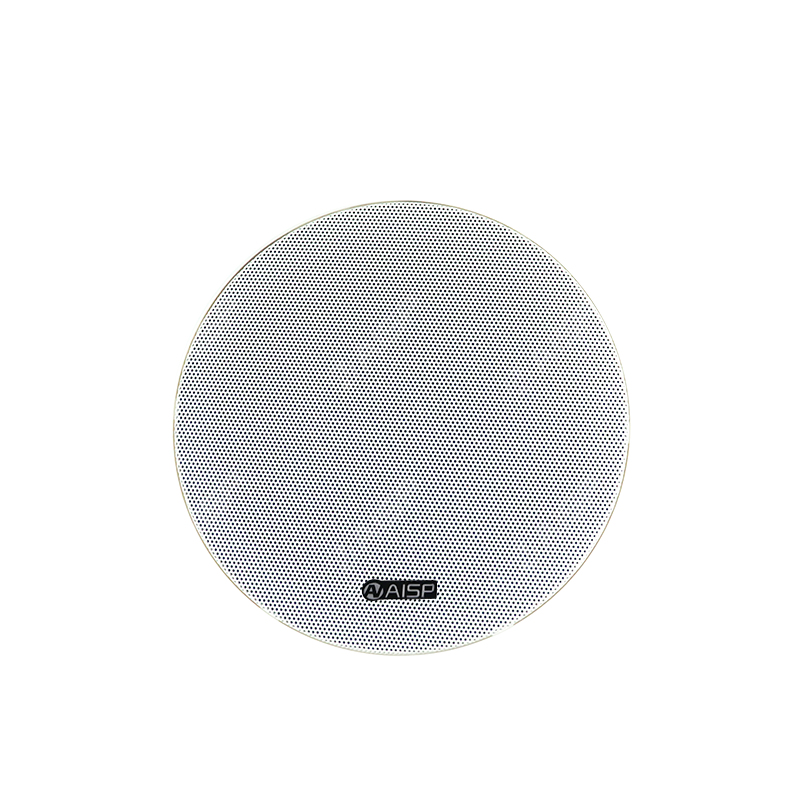 CS-668E 6.5''6W ABS Ceiling Speaker