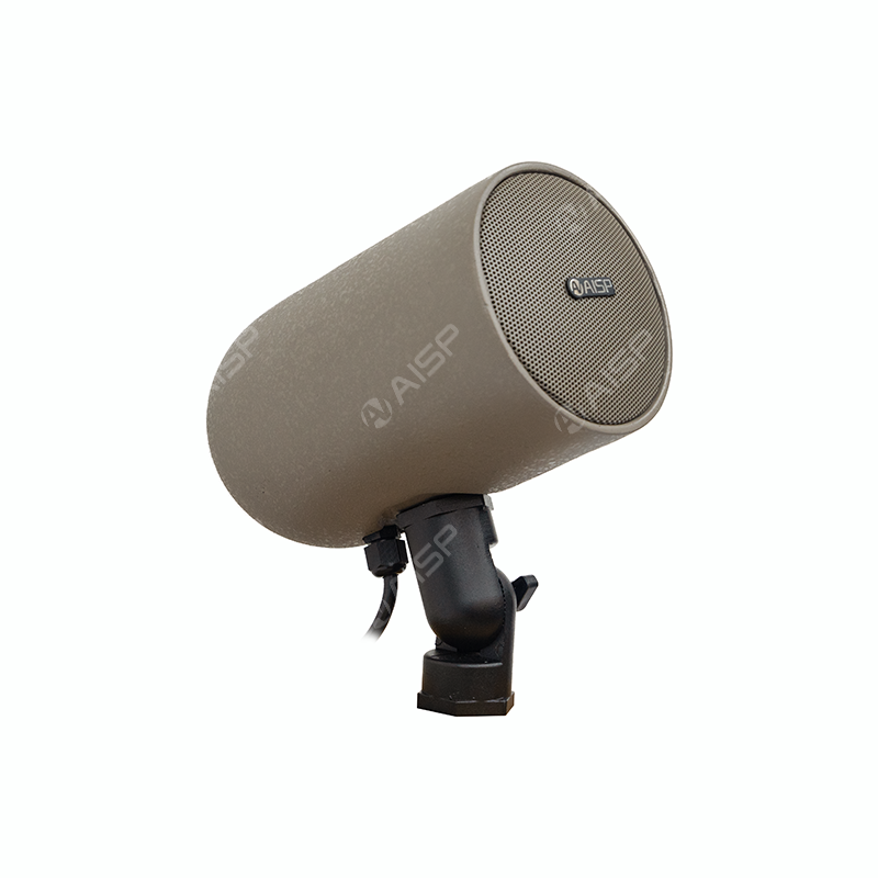 WS-317  3"15W Full-range Wall-mounted Speaker