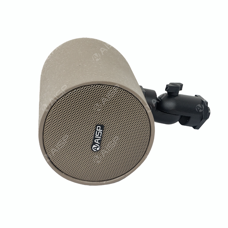 WS-317  3"15W Full-range Wall-mounted Speaker