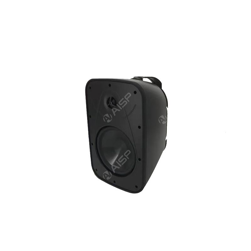 WP-S02 40W Waterproof Wall Mount Speaker