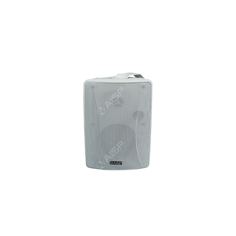 WS6020 4 inch 20W Wall-Mounted Speaker with Power Tap