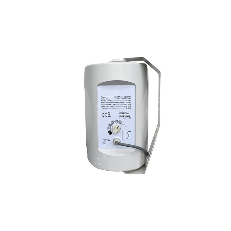 WS6020 4 inch 20W Wall-Mounted Speaker with Power Tap